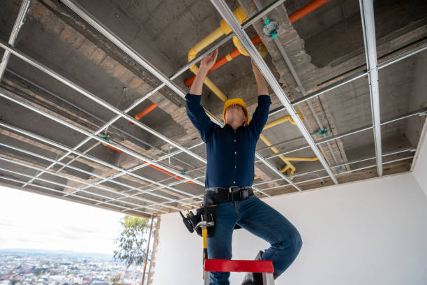 Best Commercial Plumbing Services  in Channel Lake, IL