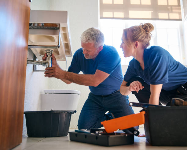Best Clogged Drain Plumber  in Channel Lake, IL